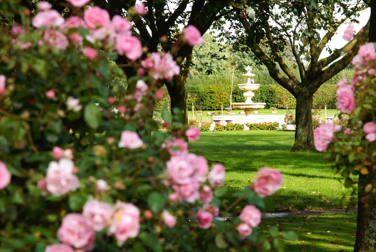 A Seaward & Sons Funeral Directors