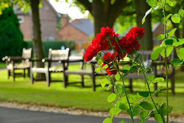 Garden Memorial Benches | Dignity Funerals