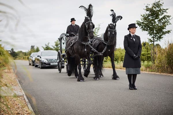 horse-drawn-hearse
