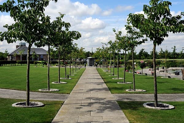 Memorial trees