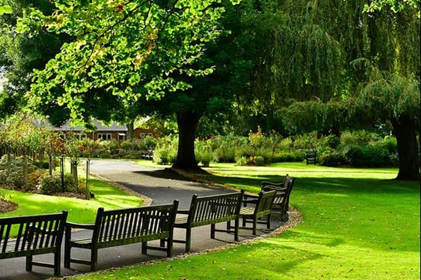 Oak Memorial Benches | Dignity Funerals