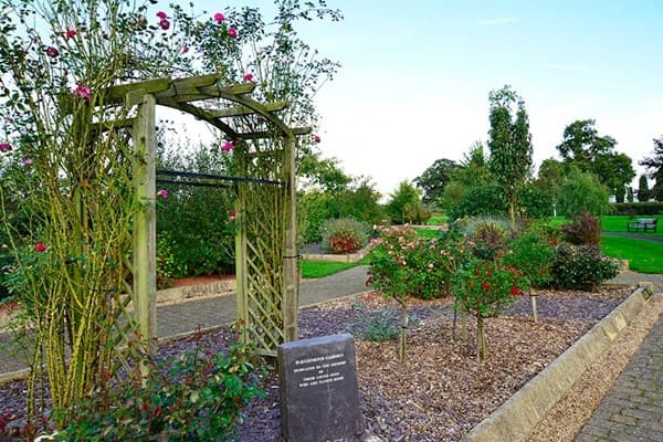 Plant a tree memorial | Dignity Funerals